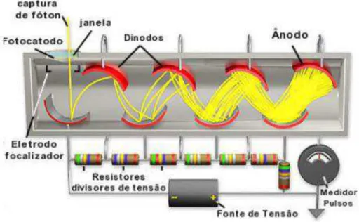 Figura 2-6 Tubo Fotomultiplicador (PM)  Fonte: PERALTA, 2011 