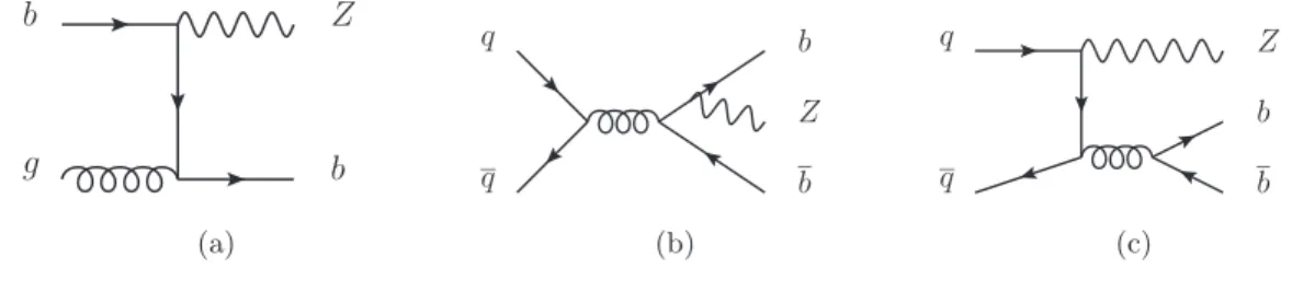 Figure 1. Leading order Feynman diagrams contributing to Z+b-jets production. Process 1(a) is only present in a 5FNS calculation, while 1(b) and 1(c) are present in both the 4FNS and 5FNS calculations.