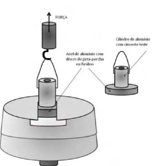 Figura 1. – Esquema representativo do teste de adesividade.