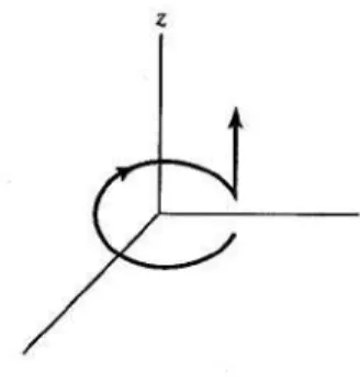 Figura 1.3 Loop de uma antena na direção z, Figura modificada [1]