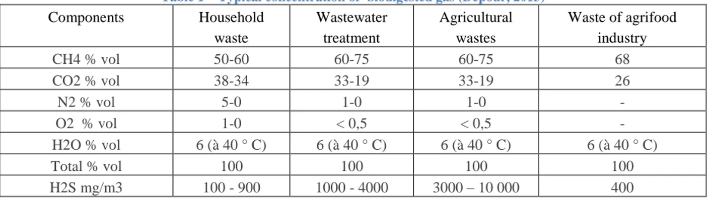 Table 1  – Typical concentration of  biodigested gas (Depour, 2013)