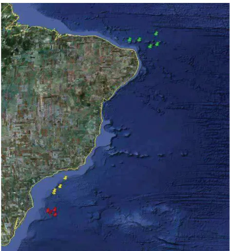 Figura 1 - Localização dos pontos de coleta no oeste do Oceano Atlântico Sul. As  marcações em vermelho representam coletas do Rio Grande do Sul (RS); marcações 