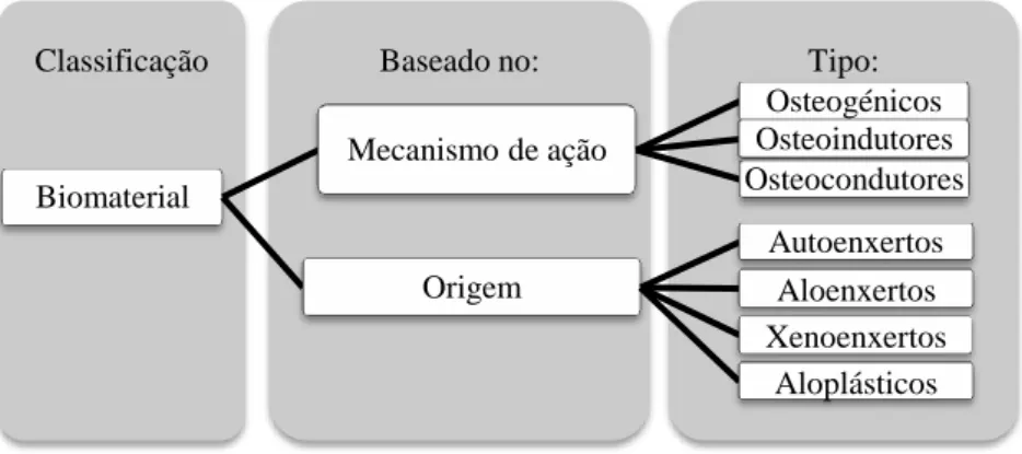 Figura 7. Classificação dos biomateriais de acordo com seu mecanismo de ação e origem (adaptado de Ilan and  Ladd (2002) e Salgado et al.(2011))
