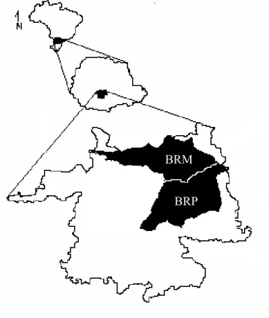 Figura 1. Esquema da localização geral da Bacia do Rio das Pedras (BRP) e da Bacia do Rio  Marrecas (BRM) no município de Guarapuava, região centro-sul do estado do Paraná, sul do  Brasil.