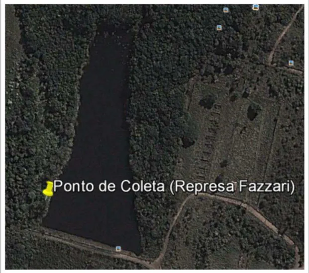 Figura 6: Área de coleta - Represa Fazzari. 