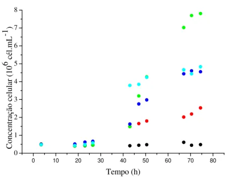 Figura 1. Perfis de biomassa de Aphanothece microscopica Nägeli em cultivo  mixotrófico em meio BGN suplementado com diferentes concentrações de glicose 