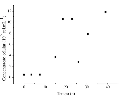 Figura 5. Perfil de biomassa durante o cultivo heterotrófico de Aphanothece  microscopica Nägeli em meio BGN suplementado com 25 g.L -1  de glicose 