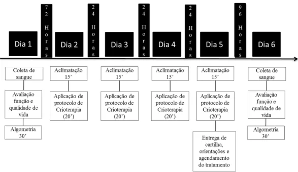 Figura 1:  Linha do tempo para realização das coletas de dados e aplicação do protocolo de 