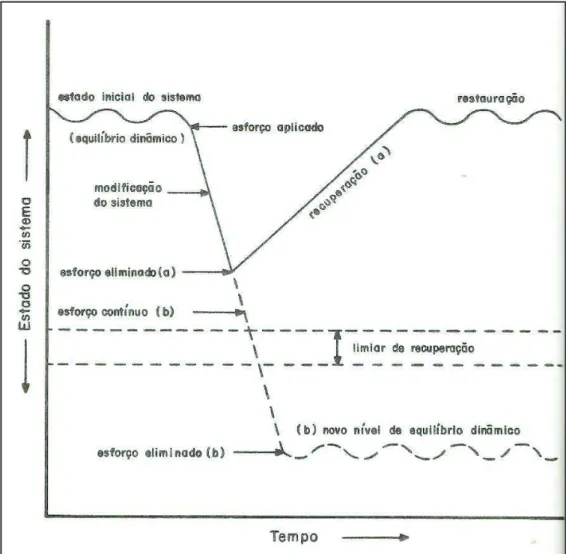 Figura 2: Reação de um sistema ambiental perante um esforço ou tensão  que lhe é imposto  