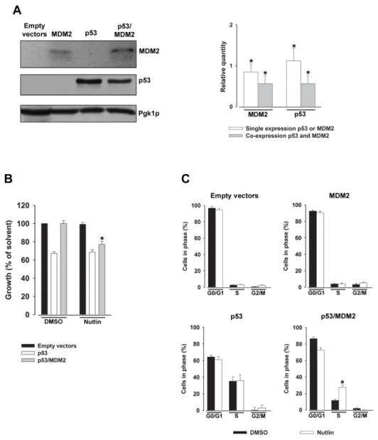 Figure  14.  Nutlin-3a  reduces  the  negative  effect  of  MDM2  on  p53  activity  in  yeast