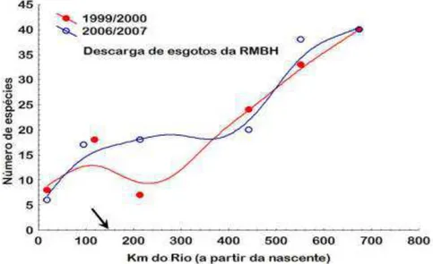 Fig. 12 –Curva da volta do peixe na bacia do Rio das Velhas (Alves &amp; Pompeu) 