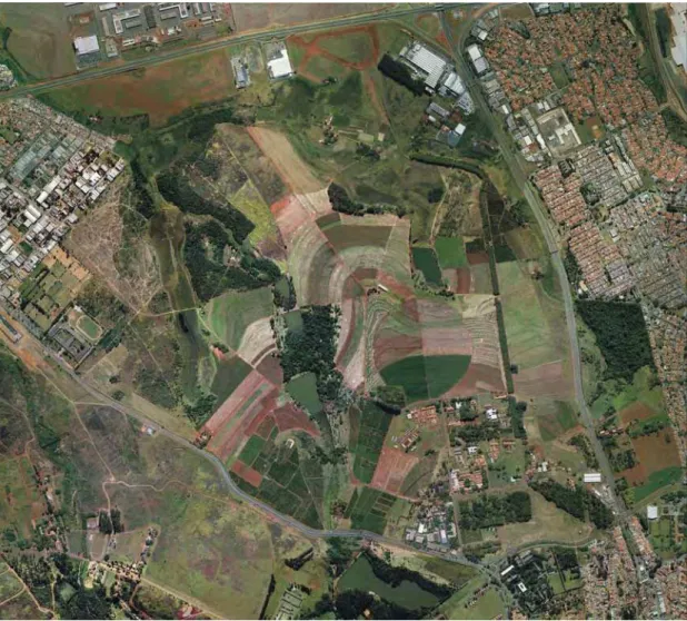 Figura 10. Foto aérea do Centro Experimental de Campinas em 2002 