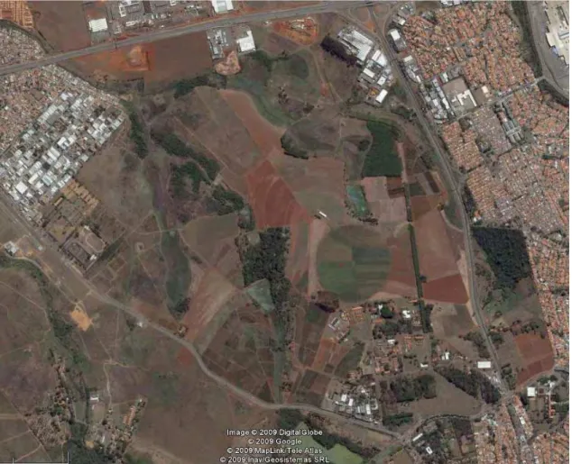 Figura 12. Imagem de satélite do Centro Experimental de Campinas em 2006 