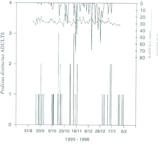 Figure 5. Adult Podisus distinctus (open bars) and Supputius cincticeps (solid bars) caught in pheromone-baited traps at the Universidade Federal de Viçosa from Spetember 7, 1995, through February 6, 1996, and associated weather data.