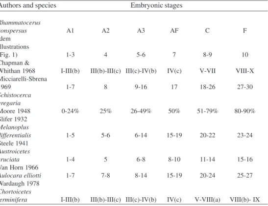 Table 1. Comparison of the suggested embryonic stages of Rhammatocerus conspersus (Bruner) with those used by other authors for other grasshopper species.