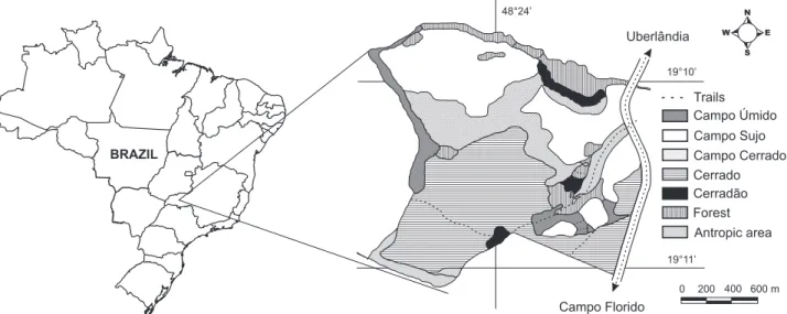 Figure 2. Climate data from the Panga Ecological Station, Minas Gerais, Brazil. (᎐) Minimum temperature, (--) maximum  tempera-ture and (bars) precipitation.