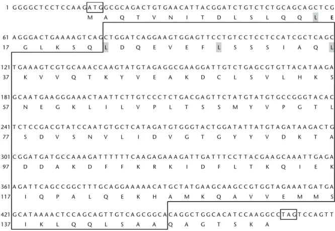 Figure 1. cDNA nucleotide and deduced amino acid sequence of BgMm-1. Nucleotides are numbered above and amino acids are num- num-bered below