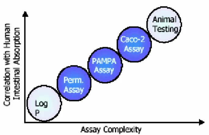 Figure 5: Assay Complexity vs Correlation with Human Absorption. The permeability assay uses  an artificial membrane composed of hexadecane