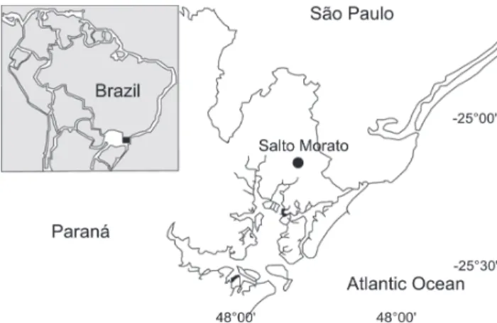 Figure 1. Location of the study area: Reserva Natural Salto Morato, Guaraqueçaba. Source: S TRAUBE  &amp; U RBEN -F ILHO  (2005).