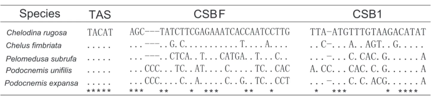 Table I. The base composition (%) and length of the five pleurodiran turtle CRs.