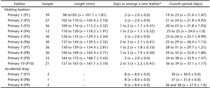 Table I. Length, days to emerge and growth period in molting and accidentally replaced primary feathers of captive Rock pigeons.