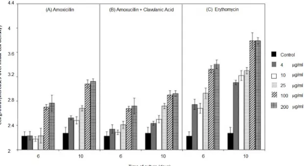 Figure 6. Effects of the presence of different concentrations (4, 10, 25 100 and 200 g/ml) of  amoxicillin (A), amoxicillin + clavulanic acid (B) and erythromycin (C) on the growth of MG63 