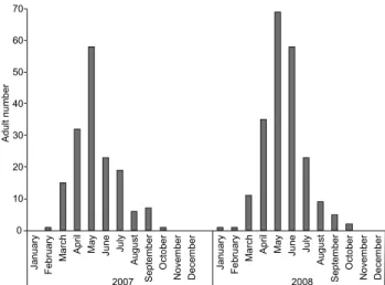 Figure 1. Duration (%) of each developmental period for Agrotis male- male-fida reared at 25 ± 1°C, 70 ± 10% RH and 14 hours photo phase.