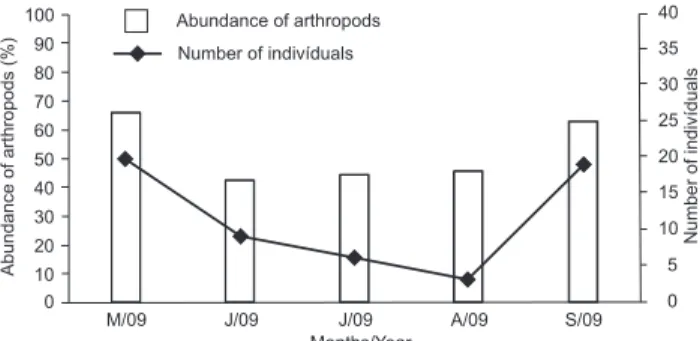 Figure 5. Arthropod abundance (Coleoptera, Orthoptera, Hy- Hy-menoptera, Diplopoda) in the diet and the relationship of it with the amount Monodelphis glirina subjects.