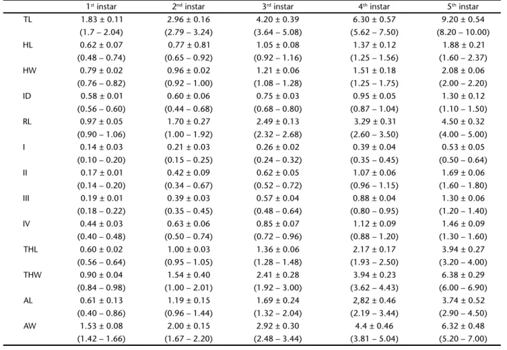 Table I. Measurements in millimeters (mean ± deviation, minimum – maximum, n = 10) of morphometric parameters of nymphs of Euschistus (Mitripus) grandis reared under controlled conditions