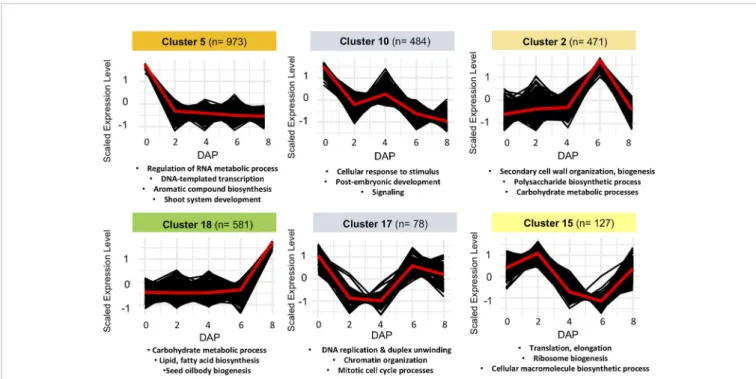 FIGURE 3 | Examples of non-overlapping k-means clusters of co-expressed genes and their signi ﬁ cant gene ontology (GO) enrichment terms.