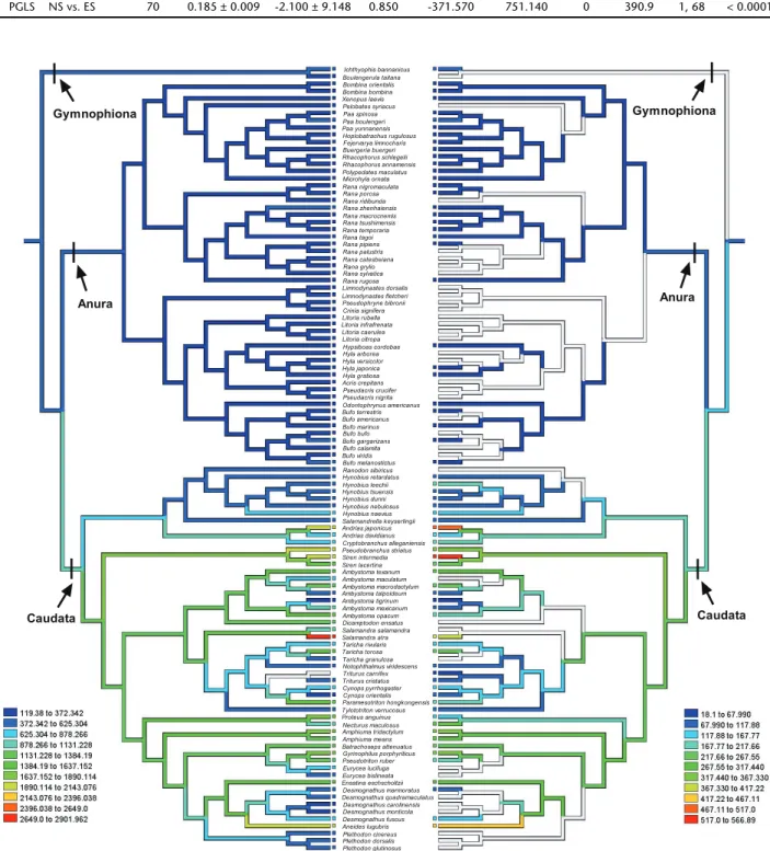 Figure 3 Mirror trees of the evolutionary history reconstructions of erythrocyte size (left side) and nucleus size (right side) of amphibians (blank branch is lack of data), according to phylogenetic hypotheses of P YRON  &amp; W IENS  (2011).