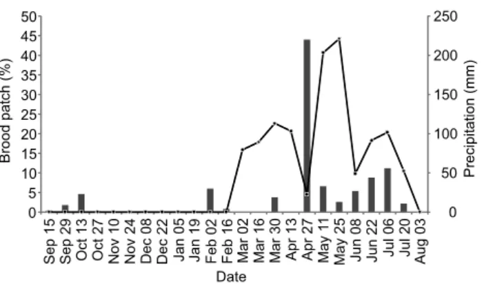 Figure 1. Occurrence of brood patches (●) and accumulated  precipitation (bars). Percentage of individuals with brood patches  was calculated per netting event and based on the number of  captures