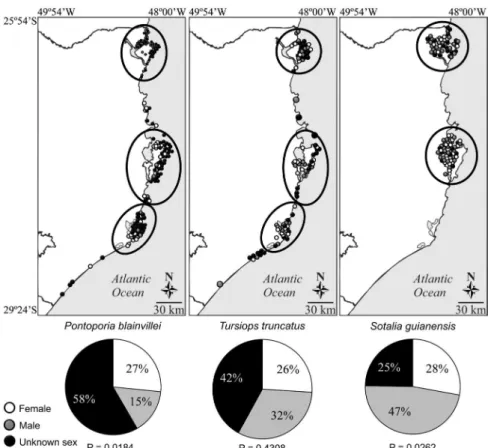 Figure 5. Spatial and sexual distribution of stranding records of Pontoporia blainvillei, Tursiops truncatus and Sotalia guianensis along Santa  Catarina coast from 1983 to 2014.