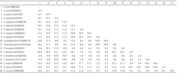 Figure 3. Maximum likelihood topology based on cytochrome b  sequences. Numbers near branches are bootstrap values ≥ 70 for  ML (above) and posterior probabilities for BI (below).