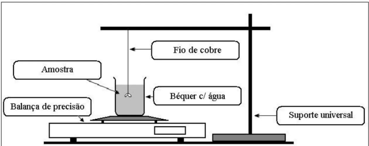 Figura 7. Esquema do arranjo experimental utilizado no método de Archimedes. 