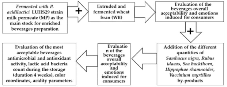 Figure 1. The experimental scheme. 