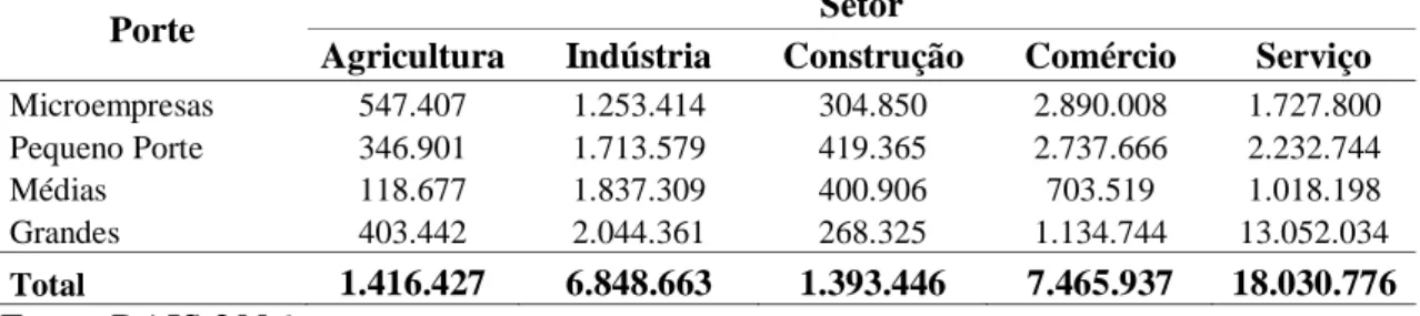 Tabela 6  – Número de trabalhadores no Brasil por setor econômico, distribuídos  segundo o porte