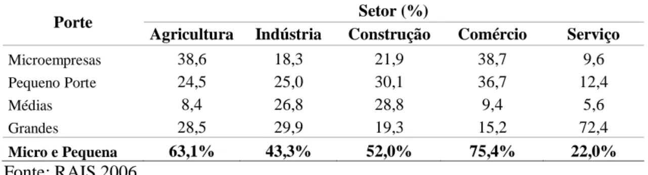 Tabela 7 - Percentual de trabalhadores no Brasil por setor econômico, distribuídos  segundo o porte