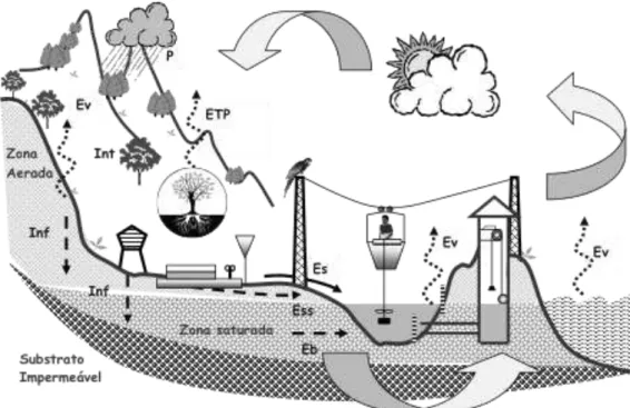Figura 3: Ciclo hidrológico (Fonte: Naghettini, 1999) 