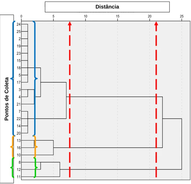 Figura 7. Dendograma utilizando algoritmo Avarege Linkage, para  determinação de grupos