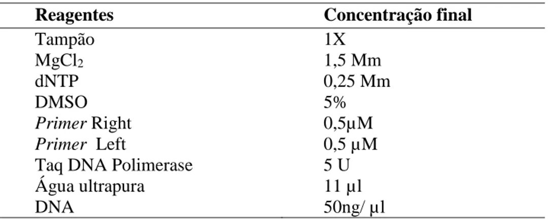 Tabela 5.   Programa de amplificação utilizado para os primers do éxon 1 do        gene FOXO3