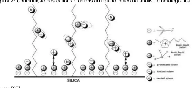 Figura 2: Contribuição dos cátions e ânions do líquido iônico na analise cromatográfica