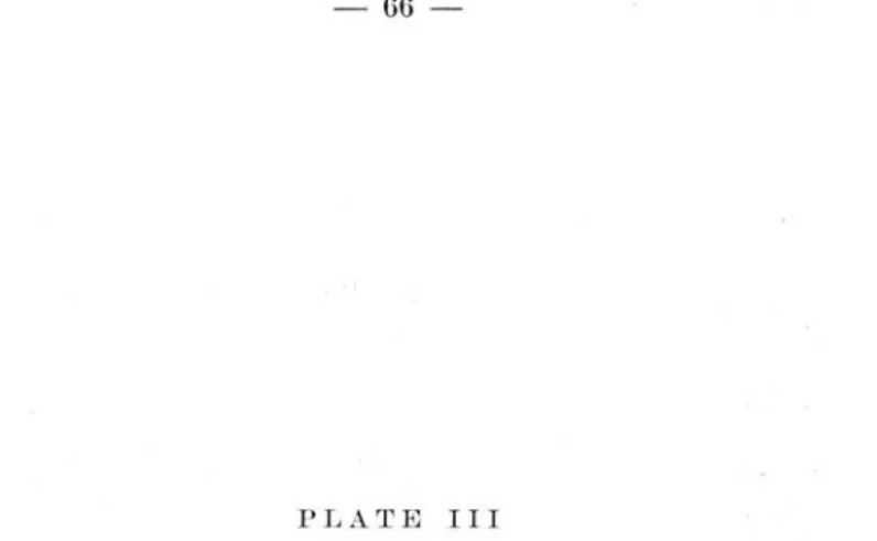 Fig.  11  Fig.  12  Fig.  13  Fig.  14  Fig.  15  Fig.  16  Fig.  17  PLATE  lI! 