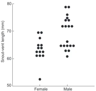 Table I. Number, volume, and frequency of prey categories in the diet of C. ocellifer (N = 32), at the Morro do Chapéu, Bahia