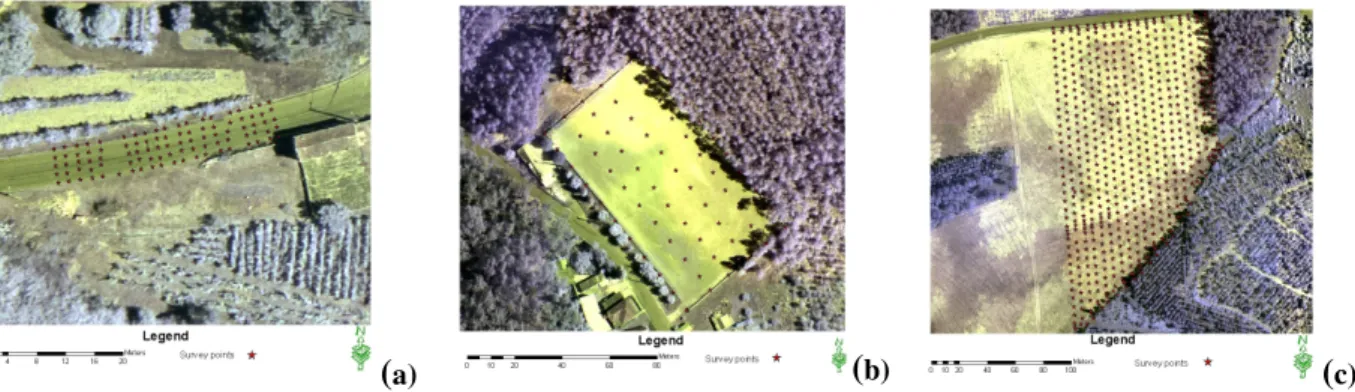 Figure 4: Reference data for ALS quality assessment: (a), (b) and (c) survey points on  bare surfaces (paved road, football field and arable field, respectively)
