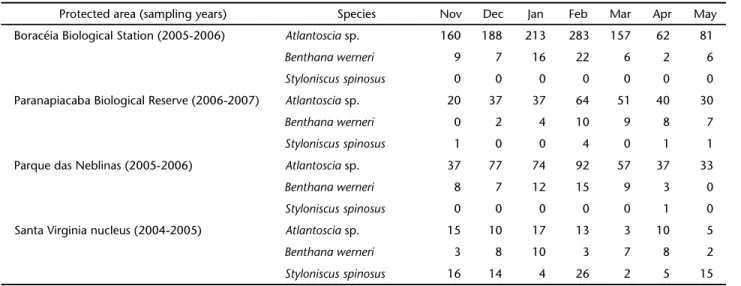 Table III. Abundance of Atlantoscia sp., B. werneri,  and S. spinosus over time at the four protected areas.