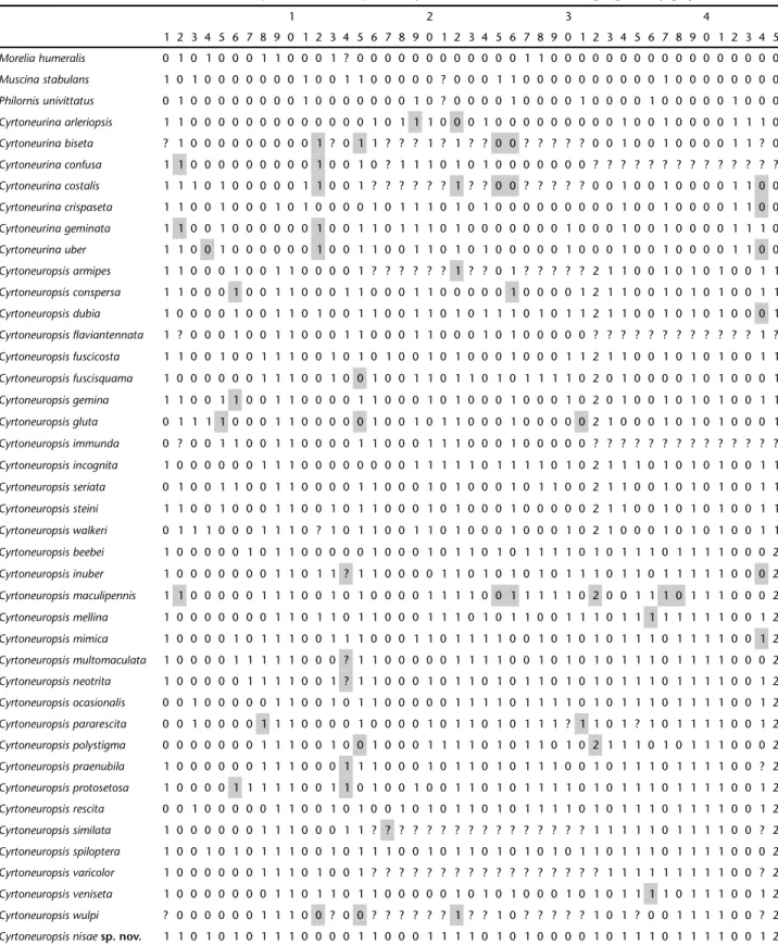 Table I. Modified character states matrix for Cyrtoneurina and Cyrtoneuropsis. The modified states are highlighted by gray-filled cells