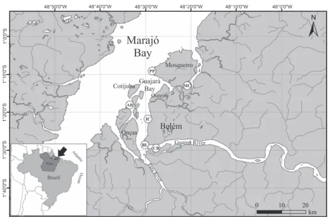 Figure 1. The study area, showing the sampling sites: (PP) Porto do Pelé, Mosqueiro Island; (MC) Marinhas Channel, Mosqueiro Island;