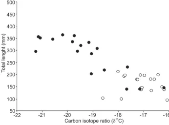 Figure 2. Carbon isotope ratios (d 13 C) and total length (TL, mm) of  individuals of Genidens genidens (closed circles) and Genidens barbus  (open circles) collected in the interface between the estuarine and  freshwater zones of Patos Lagoon in present s