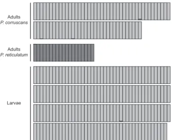 Table 1. Number total (N) and per reproductive period (October to March – N 1 : 2012-2013, N 2 : 2013-2014, N 3 : 2014-2015, N 4 :2015- :2015-2016) of larvae of Pseudoplatystoma spp